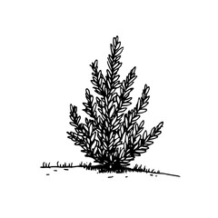 Vintage Botanical Illustration of plants in Black Ink – Hand-Drawn Floral Sketch for Botanical Books, Packaging, Tattoo Design, Nature Decor, and Vintage Garden-Themed Projects