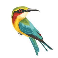 Bee-eater, vector graphic, 2D flat isometric cartoon illustration on white background.
