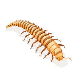 Centipede, flat 2D isometric cartoon vector image isolated on white background.