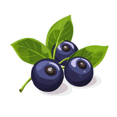 Bilberry, cartoon vector illustration, flat 2D isometric style, white background.