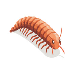 Centipede, cartoon vector illustration, flat 2D isometric style, white background.