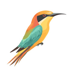 Bee-eater, flat 2D isometric cartoon vector image isolated on white background.