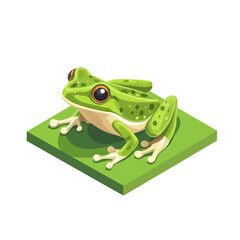 Bullfrog, vector graphic, 2D flat isometric cartoon illustration on white background.
