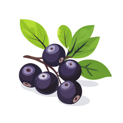 Bilberry, flat 2D isometric cartoon vector image isolated on white background.