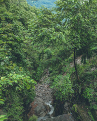 Forest covered water stream in the hills of Kalimpong, West Bengal, India in May 2024....