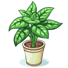 Dumb Cane, flat 2D isometric cartoon vector image isolated on white background.