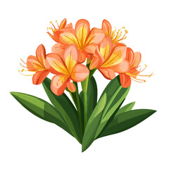 Clivia, flat 2D isometric cartoon vector image isolated on white background.