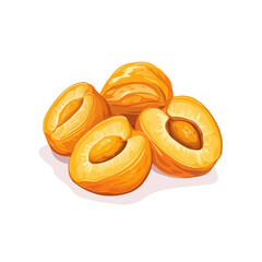 Dried Apricot, 2D isometric flat cartoon vector illustration isolated on white background.