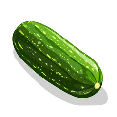 Cucumber, flat 2D isometric cartoon vector image isolated on white background.