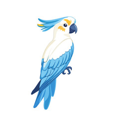 Cockatoo, vector graphic, 2D flat isometric cartoon illustration on white background.
