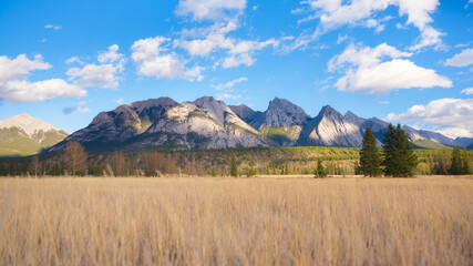 Mountain landscape. Sunbeams in a valley. Field and forest in a mountain valley. Natural landscape with bright sunshine. High rocky mountains. Banff National Park, Alberta, Canada.