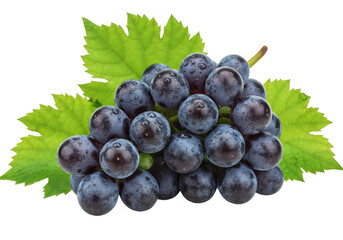 Fototapeta premium Bunch of dark grapes with leaves isolated on transparent background