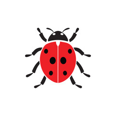 ladybug on white background, ladybird vector illustration