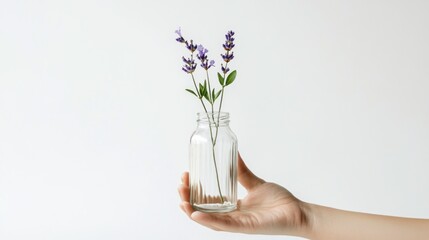 A sprig of lavender elegantly placed inside a simple glass bottle, creating a minimalist composition against a white background