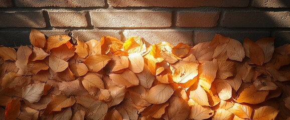 Autumnal Still Life: Sun-Kissed Fallen Leaves Against a Rustic Brick Wall