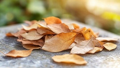 Pile of dried autumn leaves on stone surface in sunlight, nature's textures