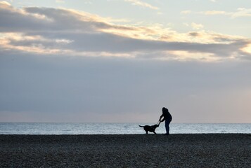 Person is playing with his dog at the sea side
