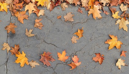 Autumn leaves on cracked pavement creating a seasonal textured background effect