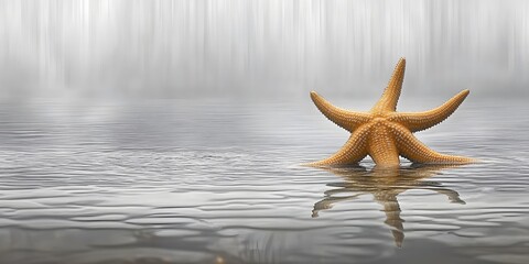 Serene Starfish in Calm Water, Misty Waterfall Background