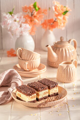 Tasty sponge cake made of airy creamy sponge and chocolate.