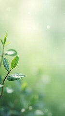 Obraz premium green leaves reaching for sunlight in peaceful composition, perfect for wellness branding. Created with AI.
