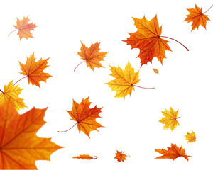 Autumn Leaves Falling in Vibrant Orange and Yellow Motion