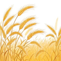 Field of Golden Wheat Illustration on White Background