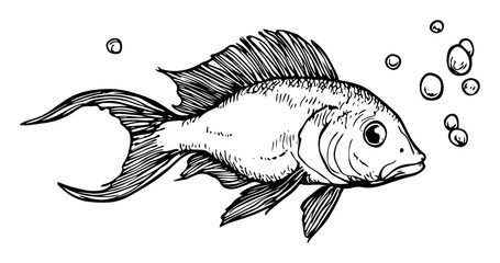 fish underwater with bubbles in engraving sketch style