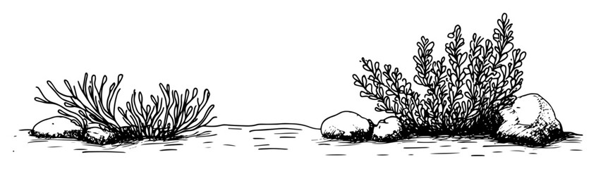 low bushes with rocks in natural black outline sketch style