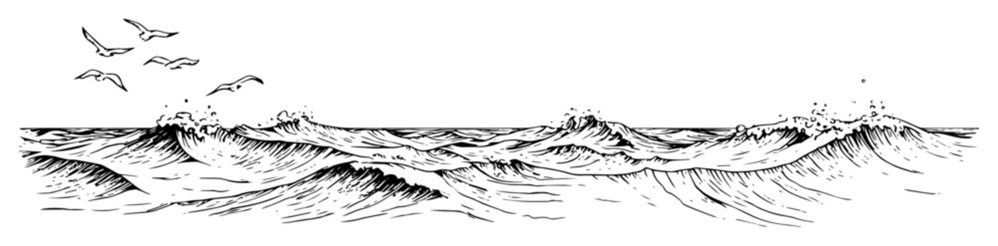 ocean waves with birds in outline engraving sketch style