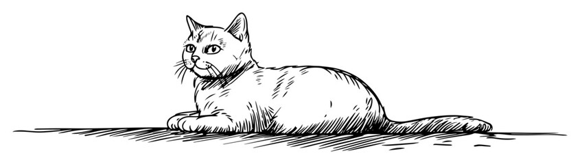 lying cat in relaxed pose in engraving sketch style