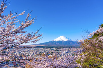 山梨県富士吉田市　春の新倉山浅間公園