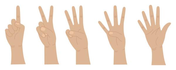 Hands count from one to five. Gestures of hands. Counting fingers.  Vector illustration