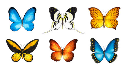 Watercolor set of colorful butterflies on a white background. Illustrations for design, postcards, fabrics, stickers. © Alfiia