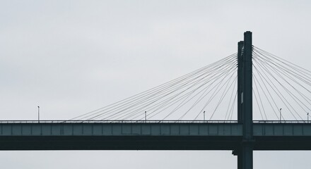 Fototapeta premium a bridge with a bird on it