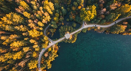a winding road through a forest with trees in the background
