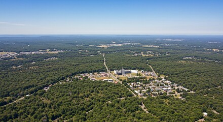 a large area of trees