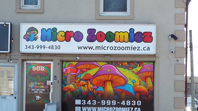 Ottawa, ON, Canada-May 24,2025: A storefront for a store called "Micro Zoomiez" at 908 St Laurent Blvd
