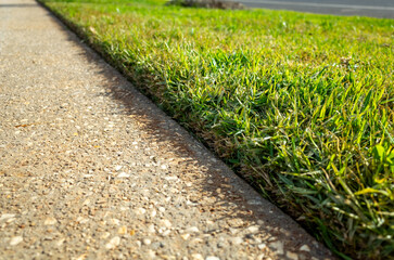 Close-up view of a neatly trimmed green lawn with a clean edge along a concrete footpath. Concept of healthy grass with a crisp border, outdoor maintenance, and public space aesthetics in Australia