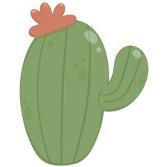 Cactus with red flower