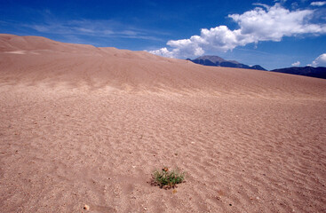 desert landscape in the desert
