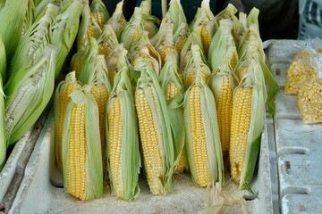 Colors of the market: corn