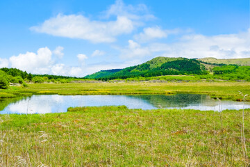 八島ヶ原湿原　初夏　八島ヶ池