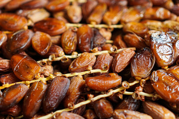 Close-up captures a fresh harvest of shiny, succulent dates still clinging to their stems. The dates showcase varied hues of brown and textures. Ideal for healthy food concepts.