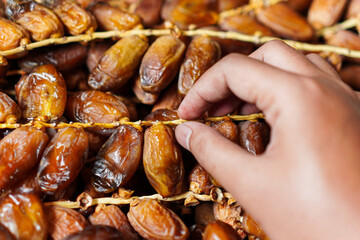 A hand picks ripe, glistening dates from the branch, highlighting the rich colors and natural textures of this sweet and healthy Middle Eastern delicacy, perfect for snacking.