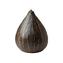 Single Dark Brown Shea Nut Close-Up on Transparent Background