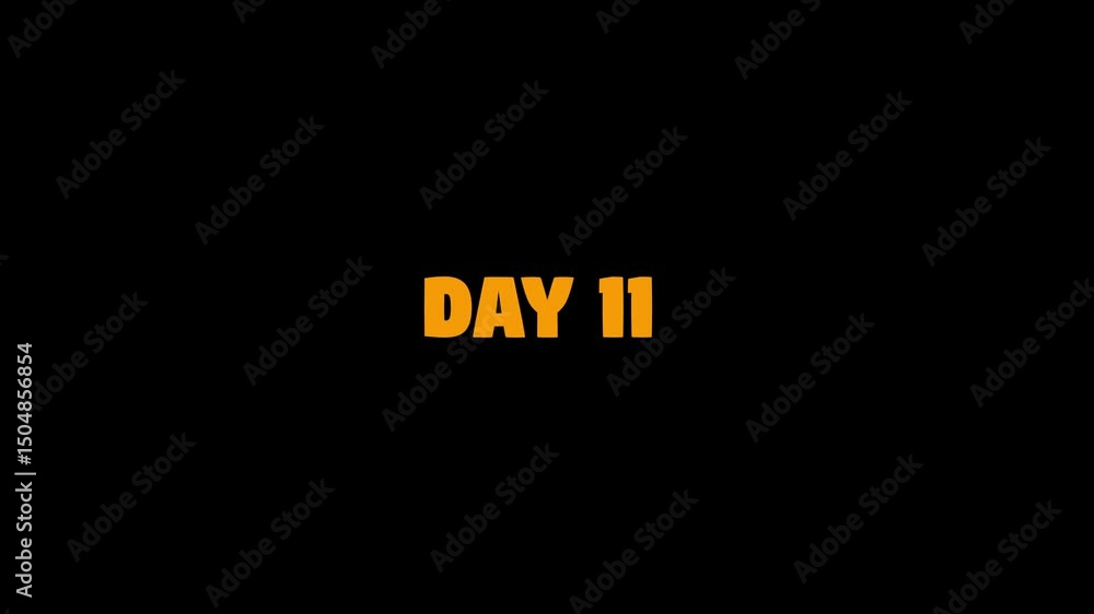 Poster day 11, 11 day text animation. day 11 animation luma matte with transparent background 4k appointmen
