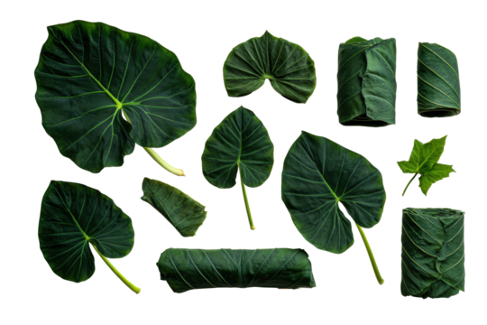 Minimal taro leaf motif on transparent background adds botanical texture to compostable packaging