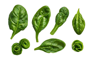 Whole baby spinach bunch isolated on transparent background enhances cold-pressed juice branding