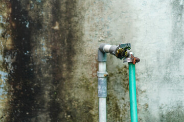 An old outdoor faucet and a green hose attached stand against a weathered wall, exhibiting signs of...